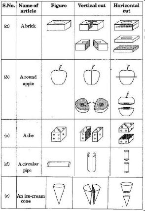 ""NCERT-Solutions-Class-7-Mathematics-Visualizing-Solid-Shapes-8
