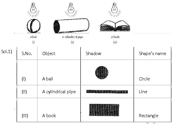 ""NCERT-Solutions-Class-7-Mathematics-Visualizing-Solid-Shapes-9