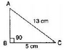 ""NCERT-Solutions-Class-8-Mathematics-Squares-And-Square-Roots-2