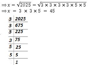 ""NCERT-Solutions-Class-8-Mathematics-Squares-And-Square-Roots-33