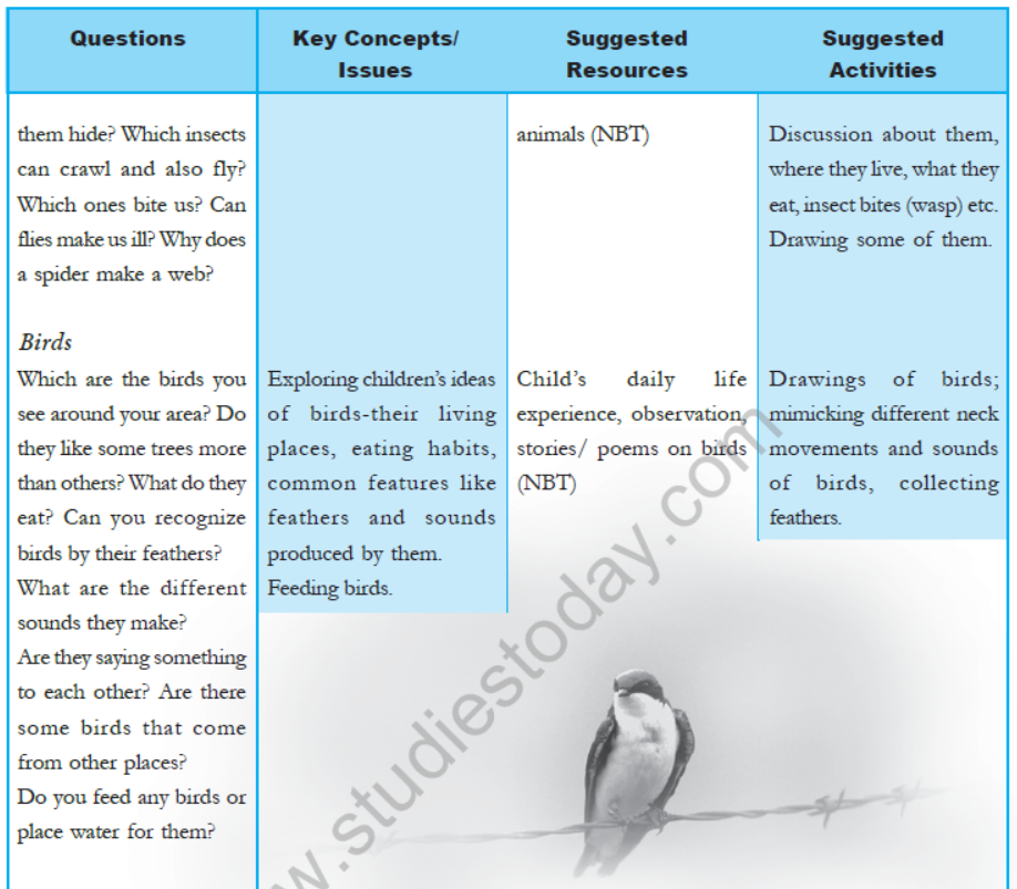 cbse-class-3-ncert-evs-syllabus