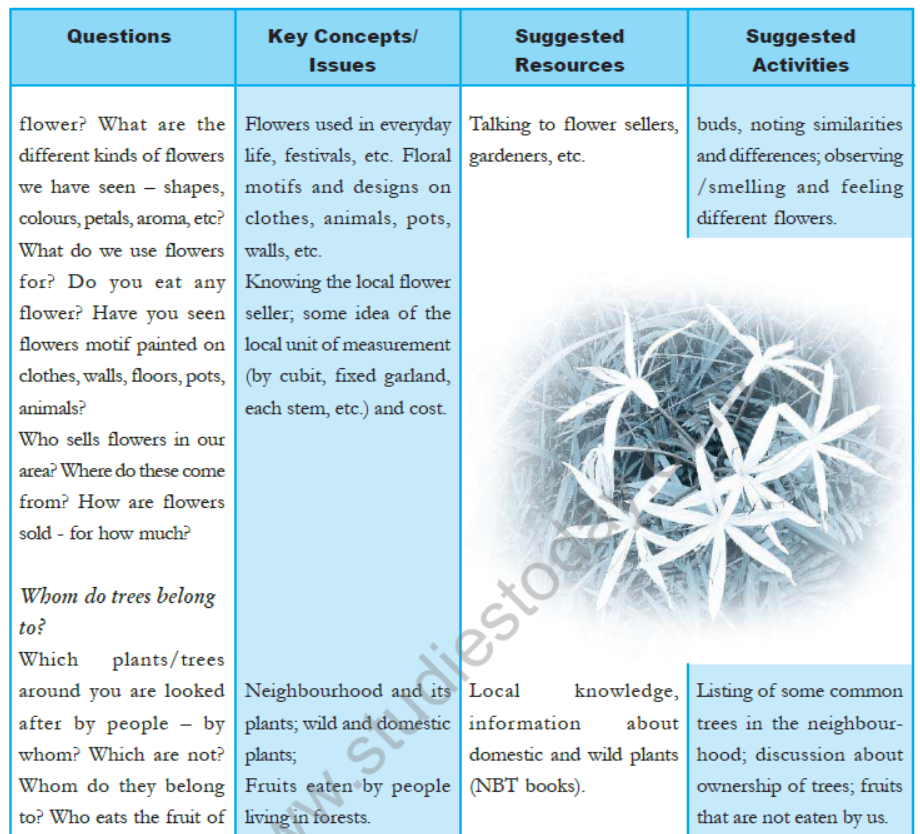 cbse-class-4-evs-syllabus