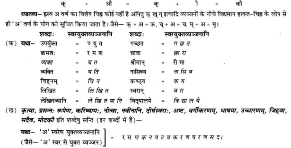 ncert-solutions-class-9-sanskrit-chapter-1-sanskritvarnmala ucharan