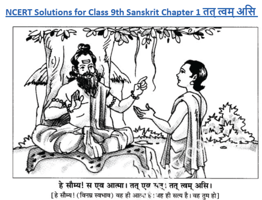 ncert-solutions-class-9-sanskrit-chapter-1-tat-tvam-asi