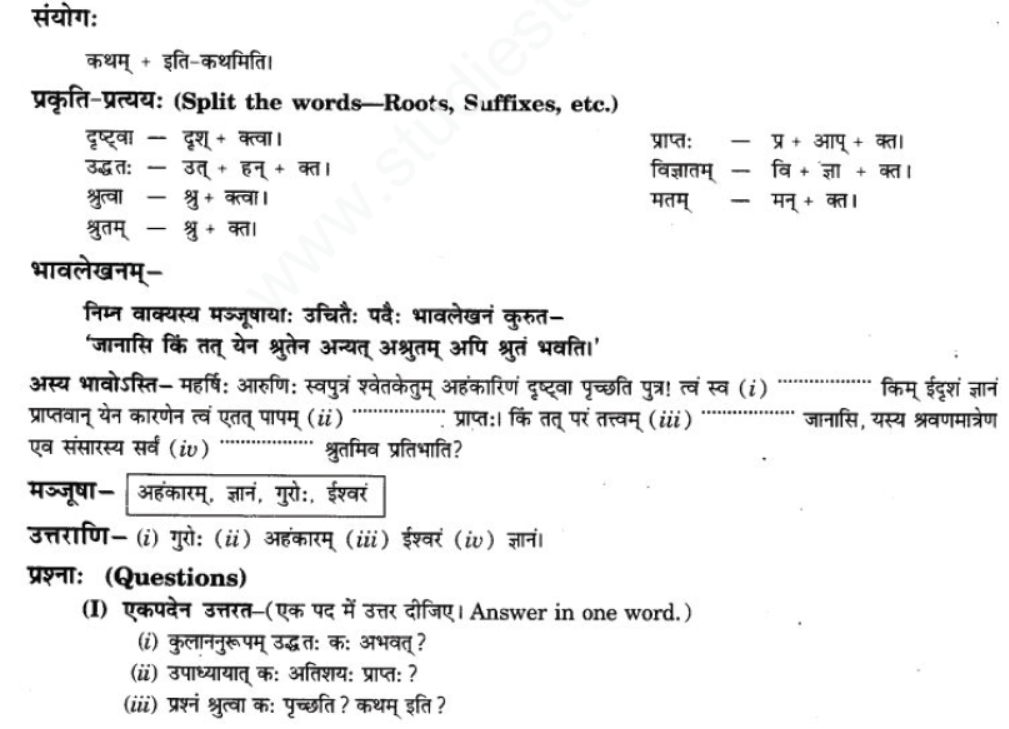 ncert-solutions-class-9-sanskrit-chapter-1-tat-tvam-asi