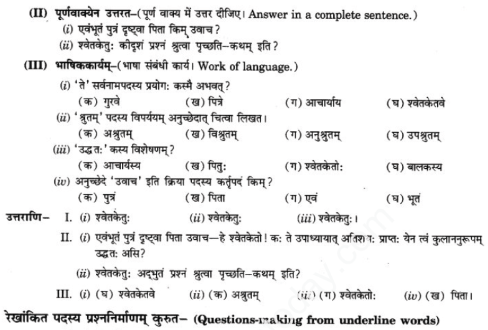 ncert-solutions-class-9-sanskrit-chapter-1-tat-tvam-asi