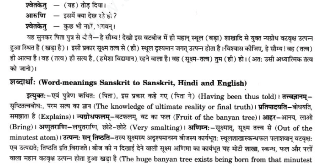 ncert-solutions-class-9-sanskrit-chapter-1-tat-tvam-asi