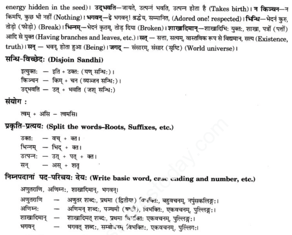 ncert-solutions-class-9-sanskrit-chapter-1-tat-tvam-asi