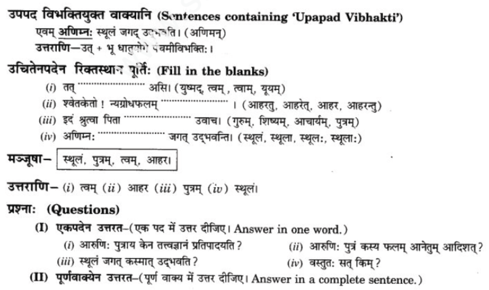 ncert-solutions-class-9-sanskrit-chapter-1-tat-tvam-asi