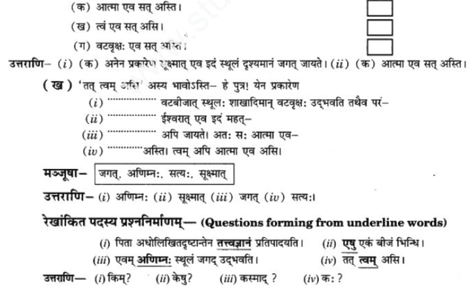 ncert-solutions-class-9-sanskrit-chapter-1-tat-tvam-asi