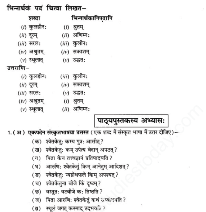 ncert-solutions-class-9-sanskrit-chapter-1-tat-tvam-asi