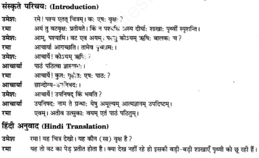 ncert-solutions-class-9-sanskrit-chapter-1-tat-tvam-asi