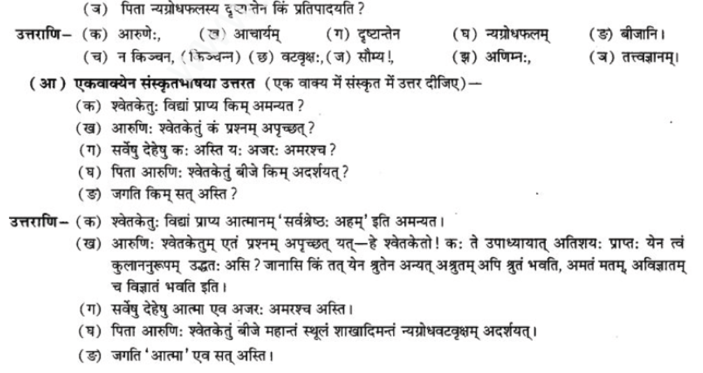 ncert-solutions-class-9-sanskrit-chapter-1-tat-tvam-asi