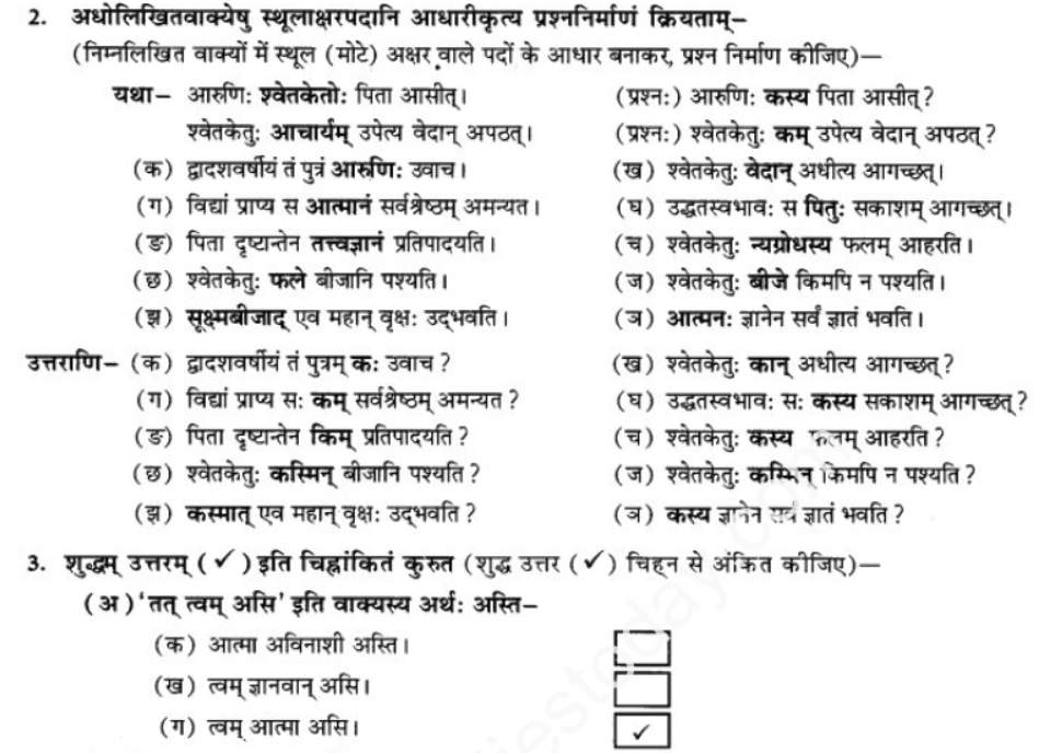 ncert-solutions-class-9-sanskrit-chapter-1-tat-tvam-asi