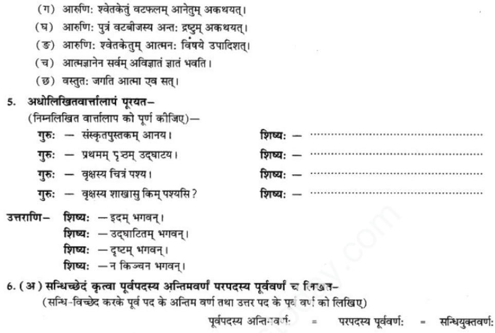 ncert-solutions-class-9-sanskrit-chapter-1-tat-tvam-asi