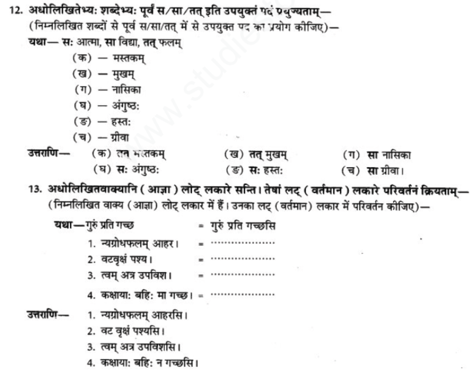 ncert-solutions-class-9-sanskrit-chapter-1-tat-tvam-asi