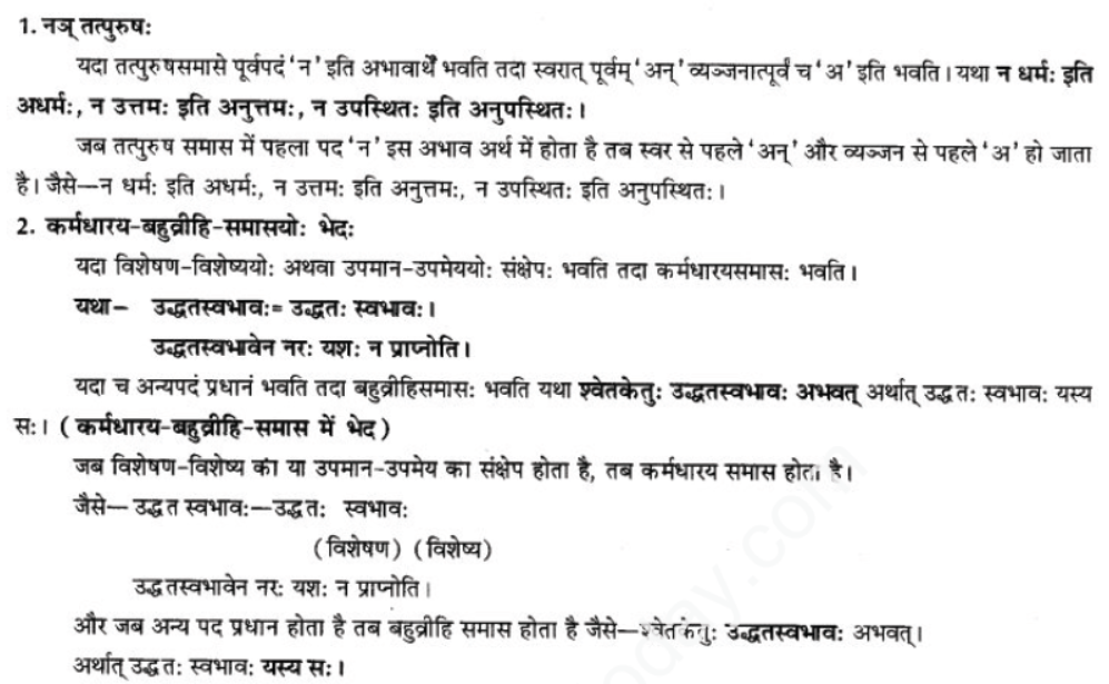 ncert-solutions-class-9-sanskrit-chapter-1-tat-tvam-asi