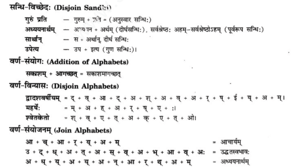 ncert-solutions-class-9-sanskrit-chapter-1-tat-tvam-asi