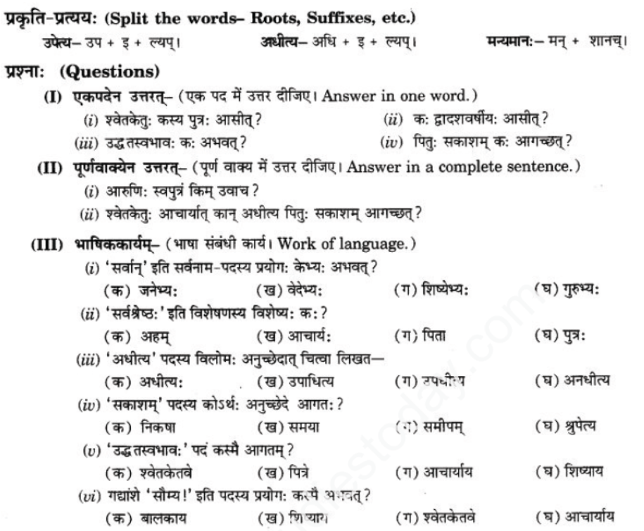 ncert-solutions-class-9-sanskrit-chapter-1-tat-tvam-asi