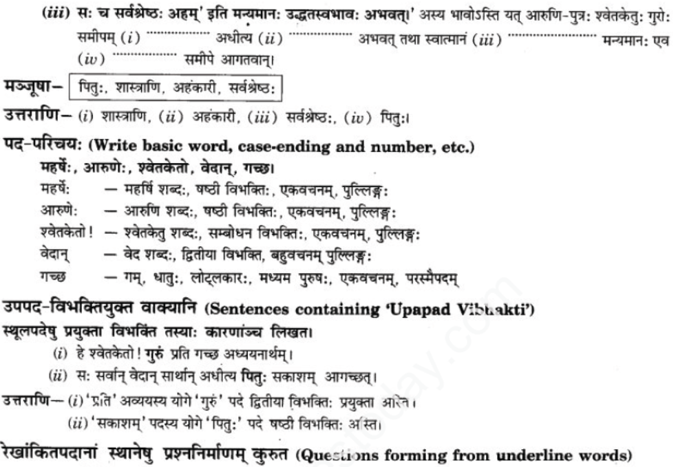 ncert-solutions-class-9-sanskrit-chapter-1-tat-tvam-asi