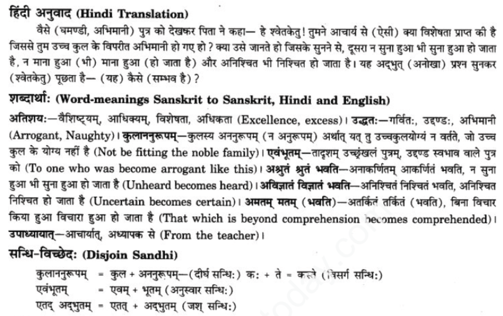 ncert-solutions-class-9-sanskrit-chapter-1-tat-tvam-asi