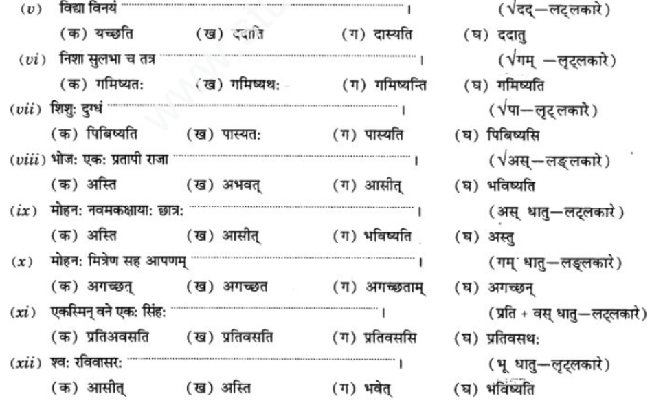 ncert-solutions-class-9-sanskrit-chapter-10-vidhilid-lakar