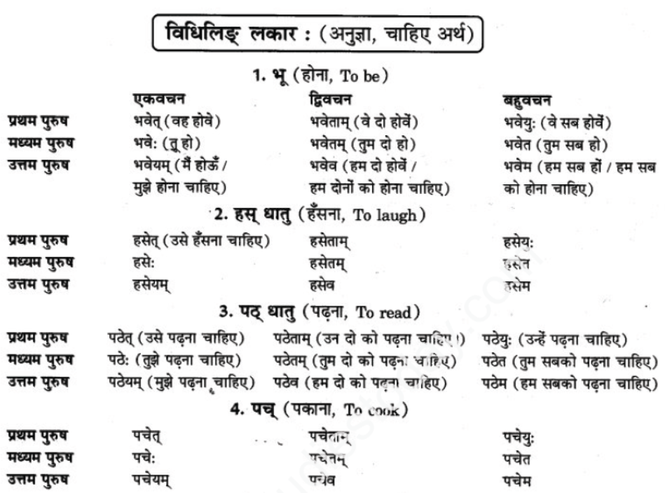 ncert-solutions-class-9-sanskrit-chapter-10-vidhilid-lakar