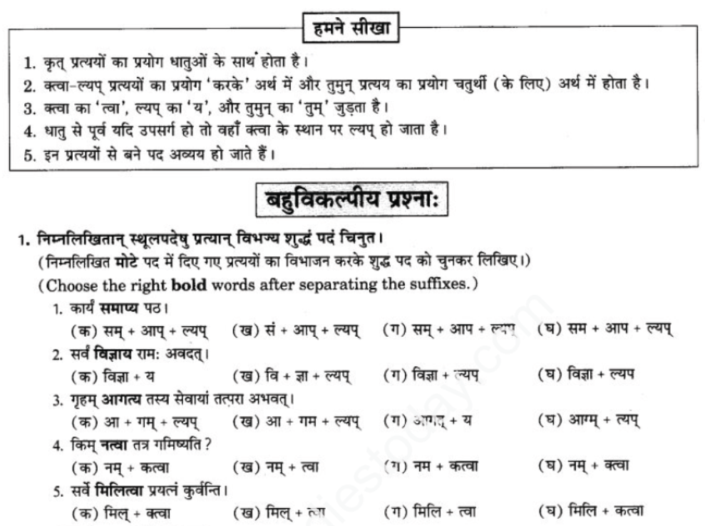 ncert-solutions-class-9-sanskrit-chapter-17-trman-ktva-layap-prtyayana-prayog