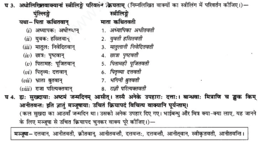 ncert-solutions-class-9-sanskrit-chapter-18-vt-ktvatu-prayoga