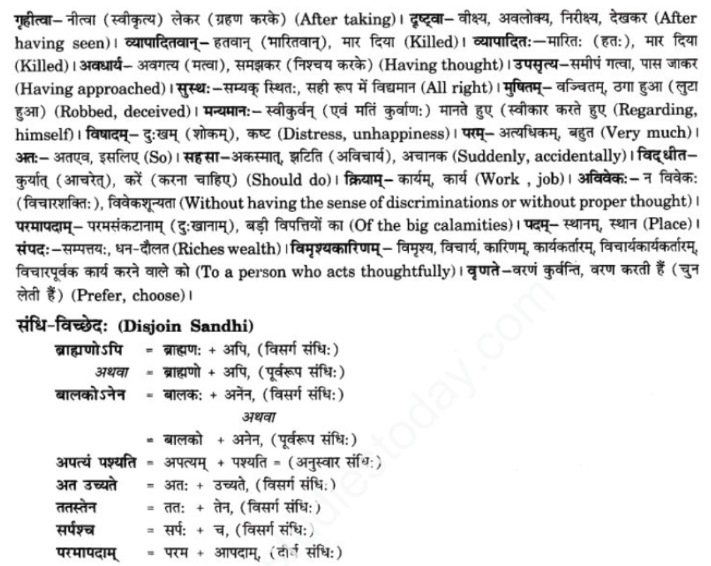 ncert-solutions-class-9-sanskrit-chapter-2-avivek-prmapda-padam