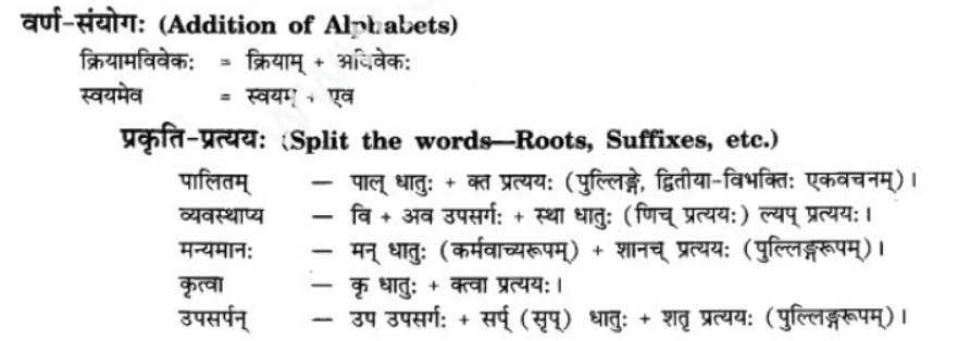 ncert-solutions-class-9-sanskrit-chapter-2-avivek-prmapda-padam