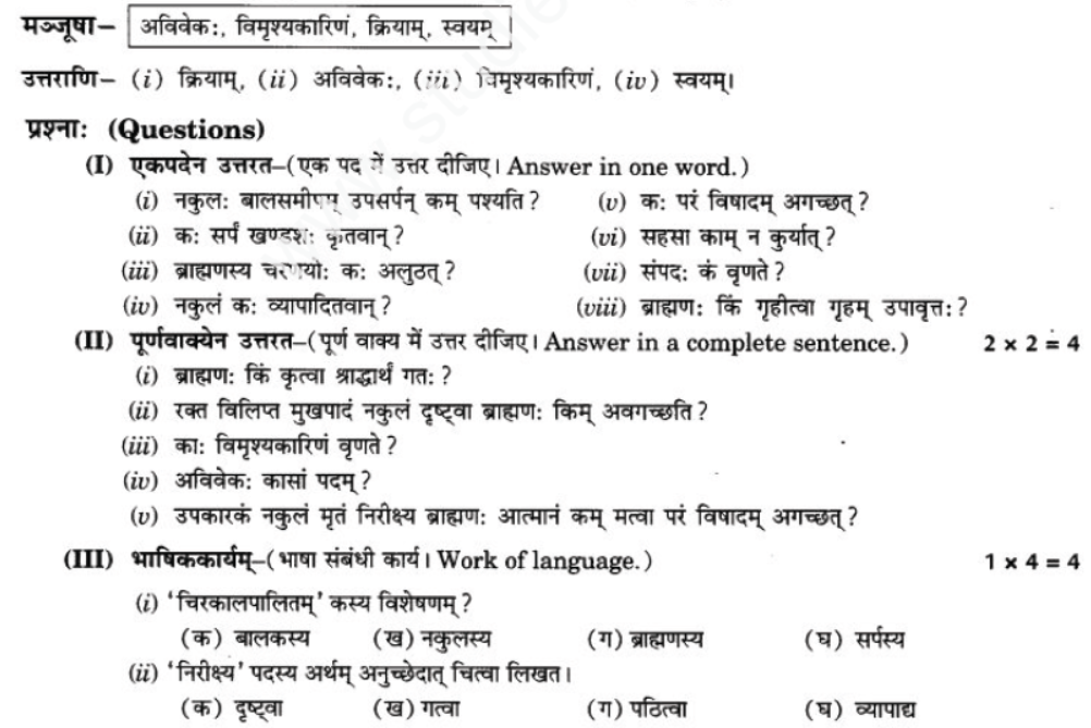 ncert-solutions-class-9-sanskrit-chapter-2-avivek-prmapda-padam