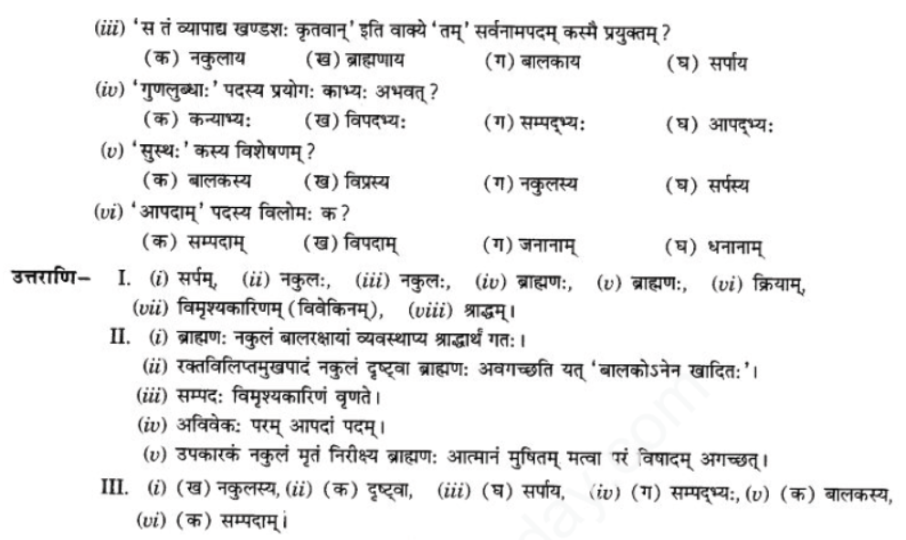 ncert-solutions-class-9-sanskrit-chapter-2-avivek-prmapda-padam