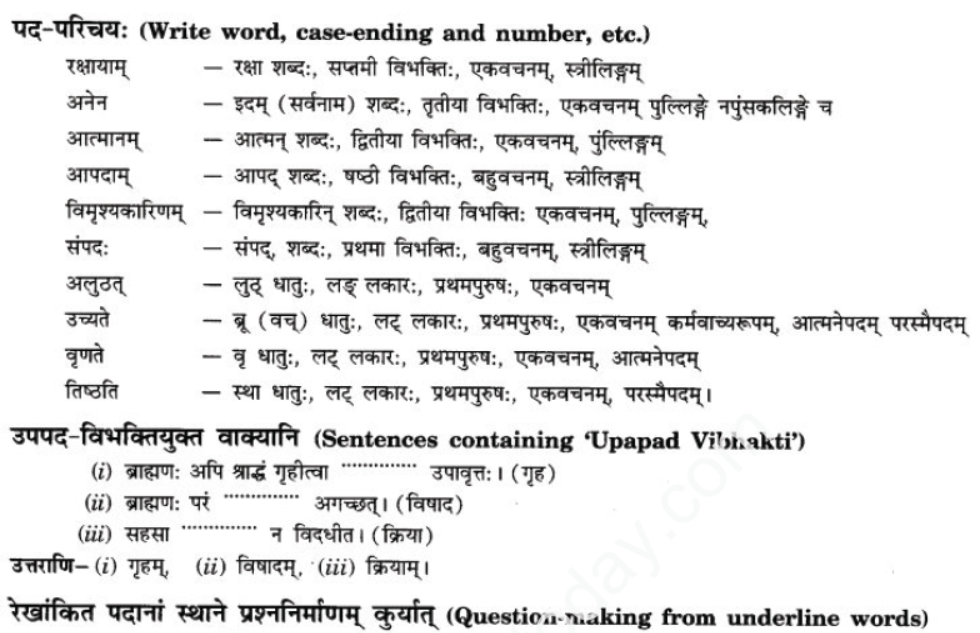 ncert-solutions-class-9-sanskrit-chapter-2-avivek-prmapda-padam