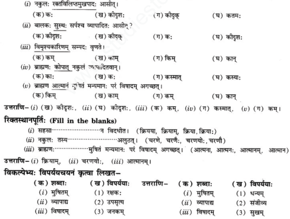 ncert-solutions-class-9-sanskrit-chapter-2-avivek-prmapda-padam