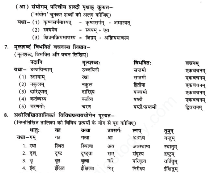 ncert-solutions-class-9-sanskrit-chapter-2-avivek-prmapda-padam