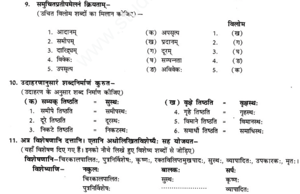 ncert-solutions-class-9-sanskrit-chapter-2-avivek-prmapda-padam