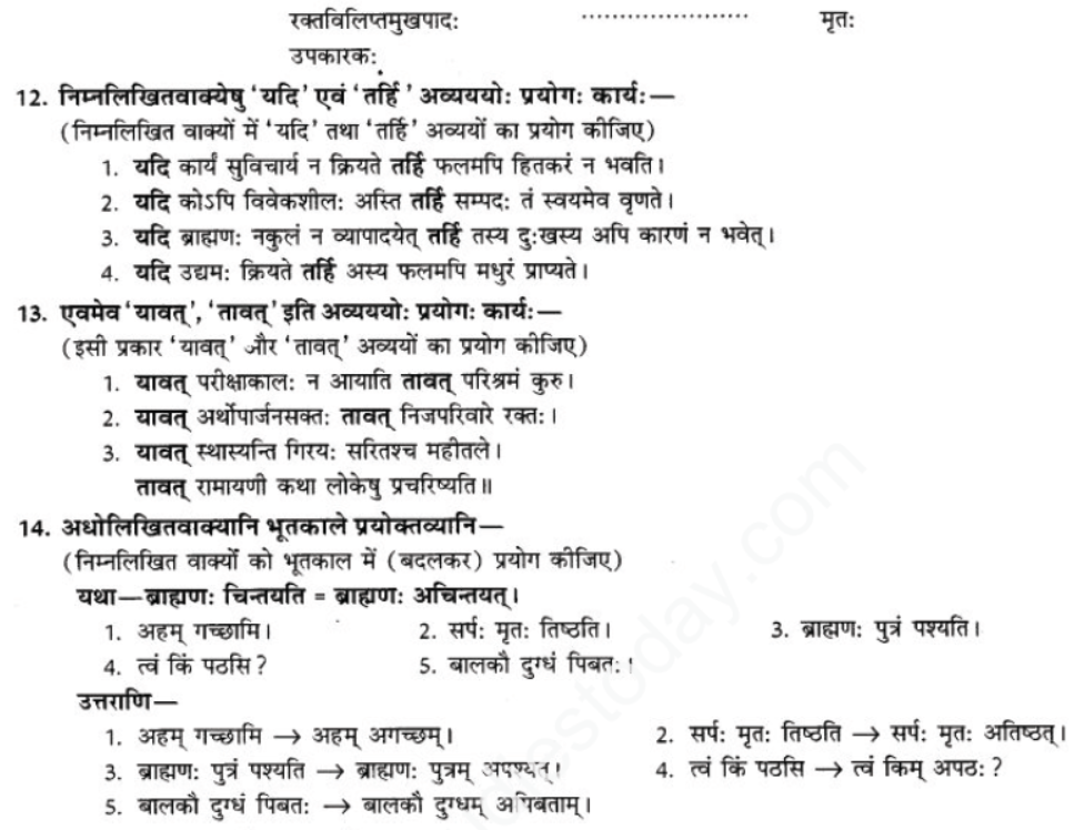 ncert-solutions-class-9-sanskrit-chapter-2-avivek-prmapda-padam