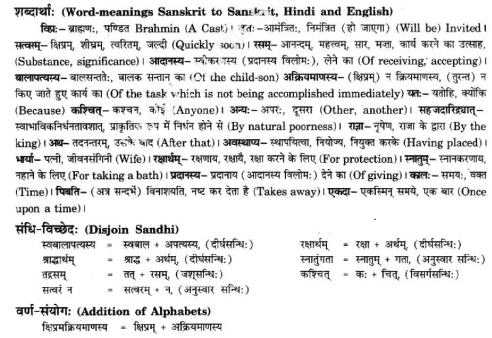 ncert-solutions-class-9-sanskrit-chapter-2-avivek-prmapda-padam