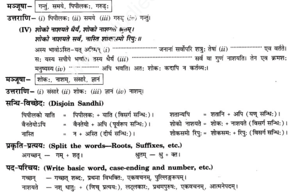 ncert-solutions-class-9-sanskrit-chapter-3-patheym