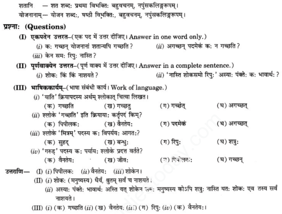 ncert-solutions-class-9-sanskrit-chapter-3-patheym