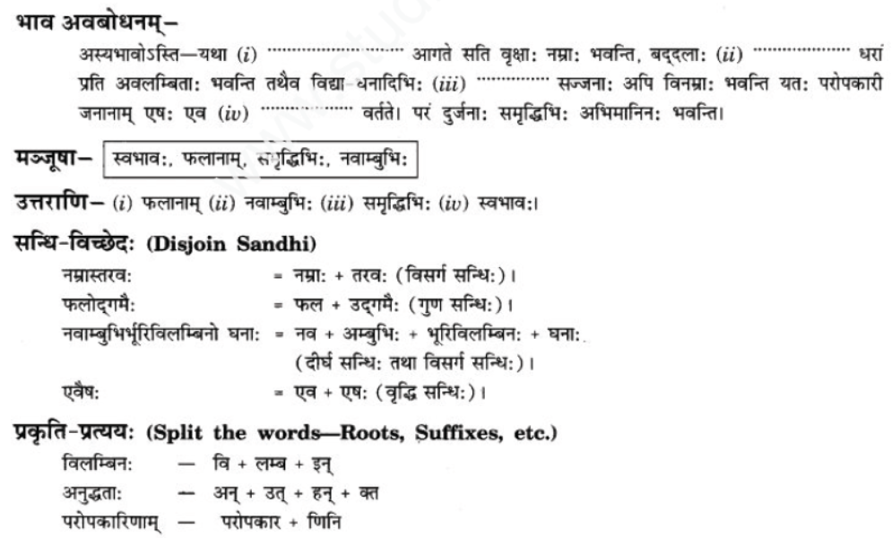 ncert-solutions-class-9-sanskrit-chapter-3-patheym