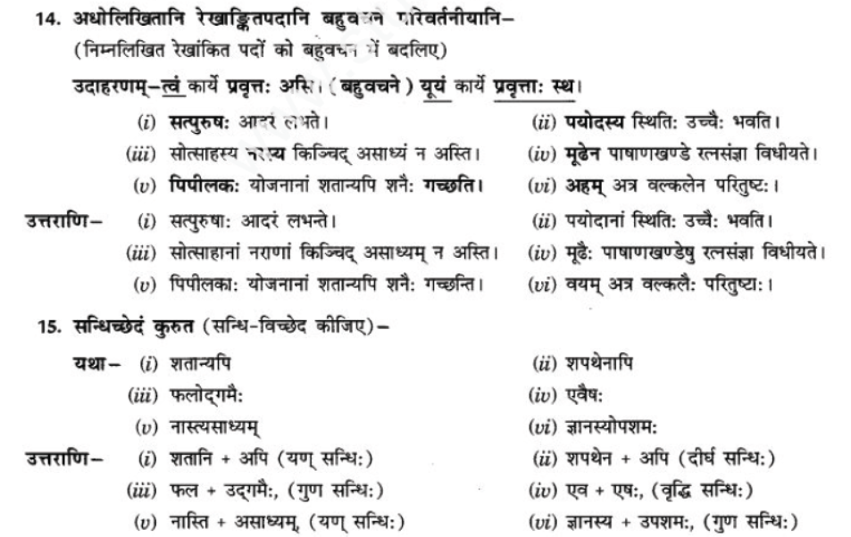 ncert-solutions-class-9-sanskrit-chapter-3-patheym