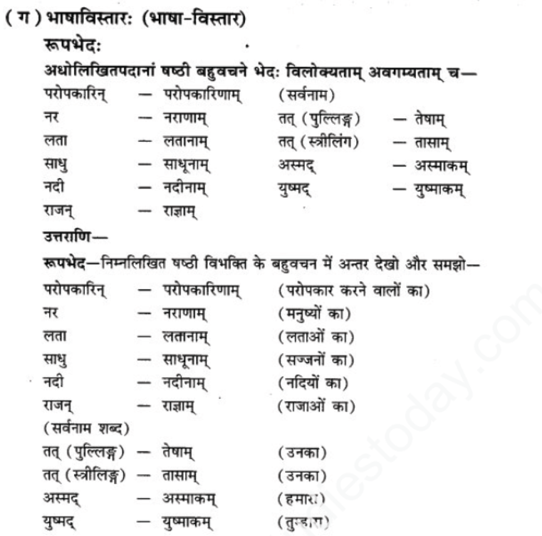 ncert-solutions-class-9-sanskrit-chapter-3-patheym