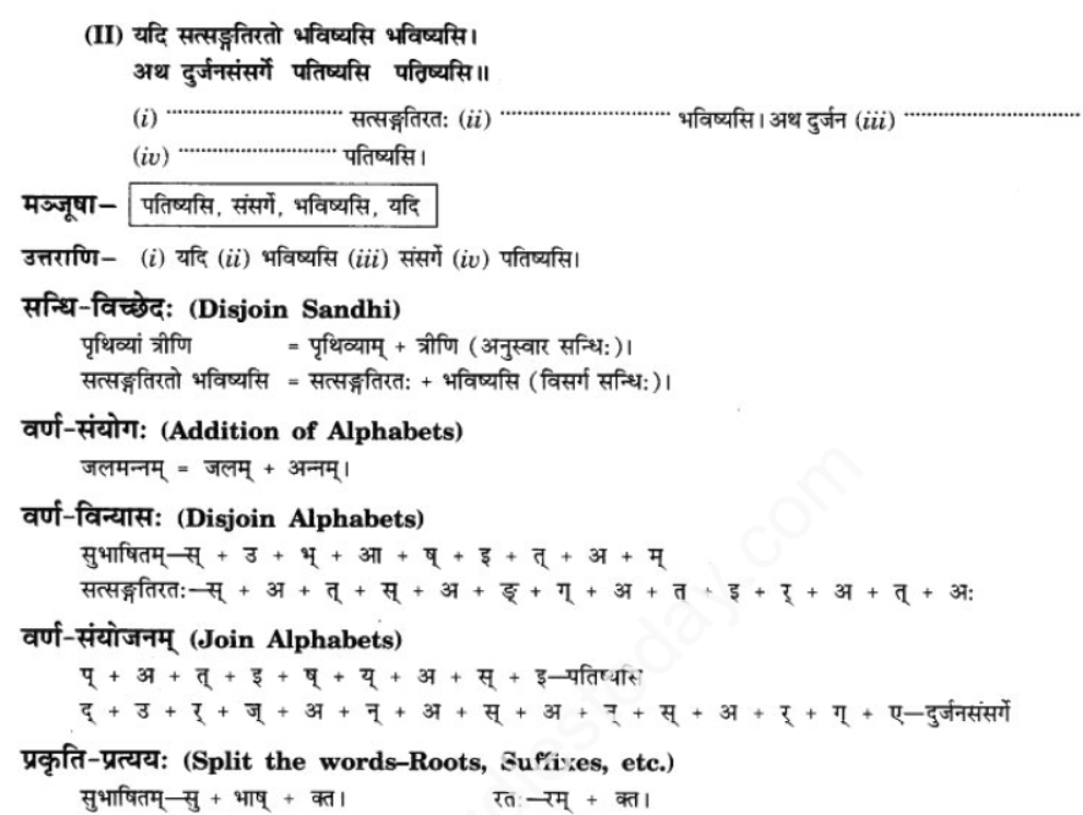 ncert-solutions-class-9-sanskrit-chapter-3-patheym