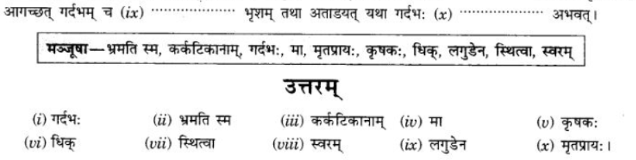 ncert-solutions-class-9-sanskrit-chapter-3-sadetadharit-laghukatha