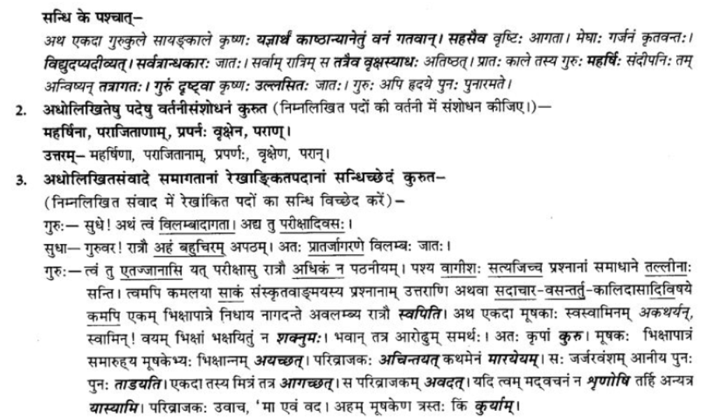 ncert-solutions-class-9-sanskrit-chapter-3-vajyansandhi