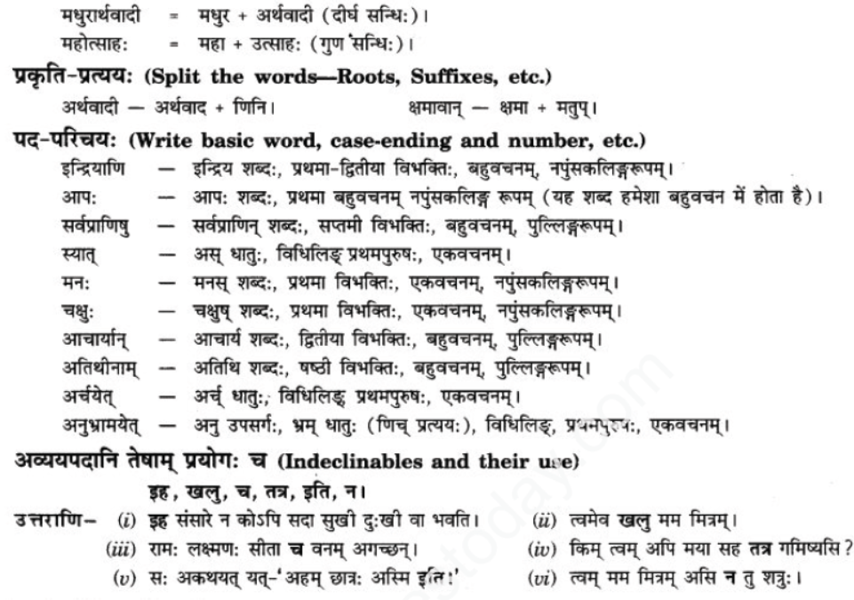 ncert-solutions-class-9-sanskrit-chapter-4-svasthyavritam