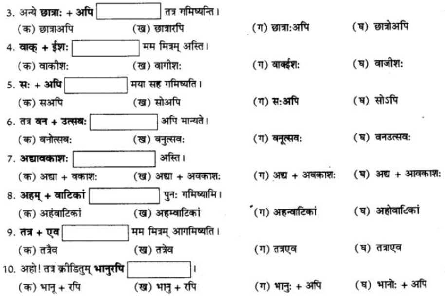 ncert-solutions-class-9-sanskrit-chapter-4-visargsandhi