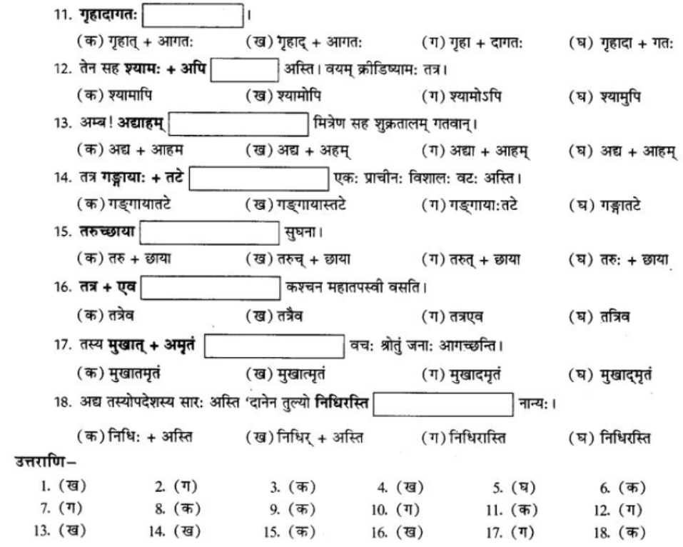 ncert-solutions-class-9-sanskrit-chapter-4-visargsandhi